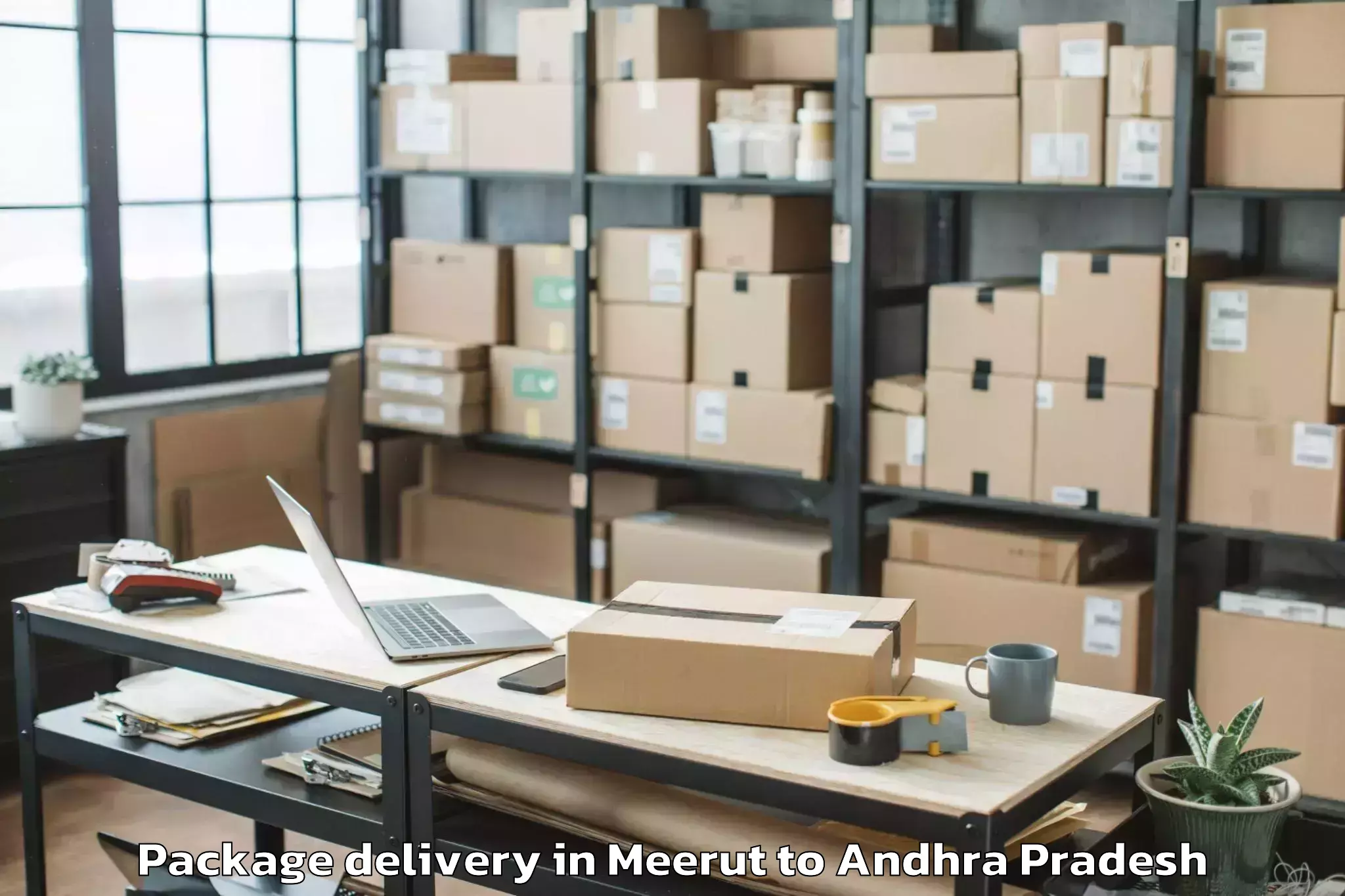 Trusted Meerut to Krishnapatnam Port Package Delivery